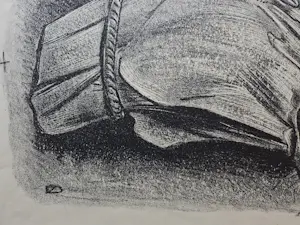 Douwe Jan van der Zweep - Paardenhoofd. Drukgesigneerd met monogram. kopen? Bied vanaf 79!