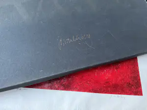 Jos van den Berg - "Freeport mine Papua" kopen? Bied vanaf 20!