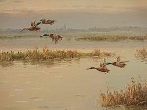 Gien Brouwer - Plasgezicht met vliegende eenden in avondrood kopen? Bied vanaf 235!