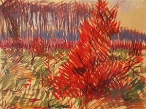 Frans Hollaardt - Boslandschap verkocht voor € 74!