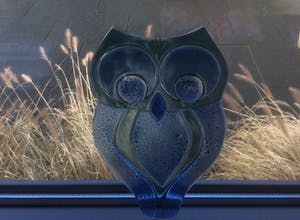 Niet of onleesbaar gesigneerd - Drie raamhangers: uil, kikker, vis kopen? Bied vanaf 1!