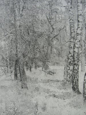 Charles Donker - BOS X kopen? Bied vanaf 160!