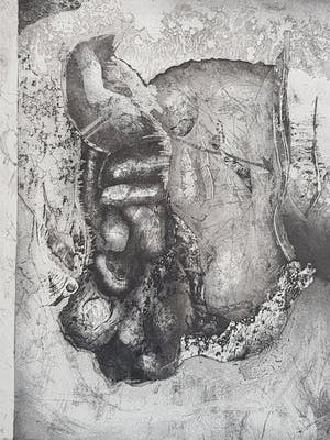 Jan Prins - Prachtige Ets - Gesigneerd in potlood kopen? Bied vanaf 1!