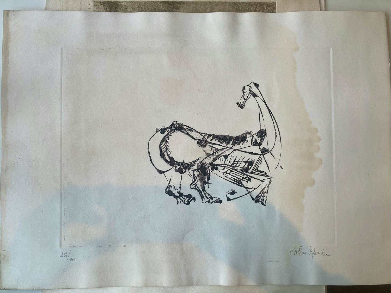 Arthur Spronken - Paard kopen? Bied vanaf 25!