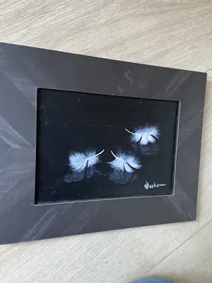 Henk Poeder - Veertjes kopen? Bied vanaf 79!