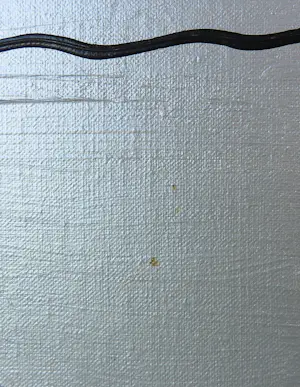 Ronald Boonacker - Acryl op doek, Night sky kopen? Bied vanaf 200!