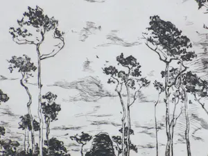 Willem de Zwart - Hakhout laden - Ets kopen? Bied vanaf 35!