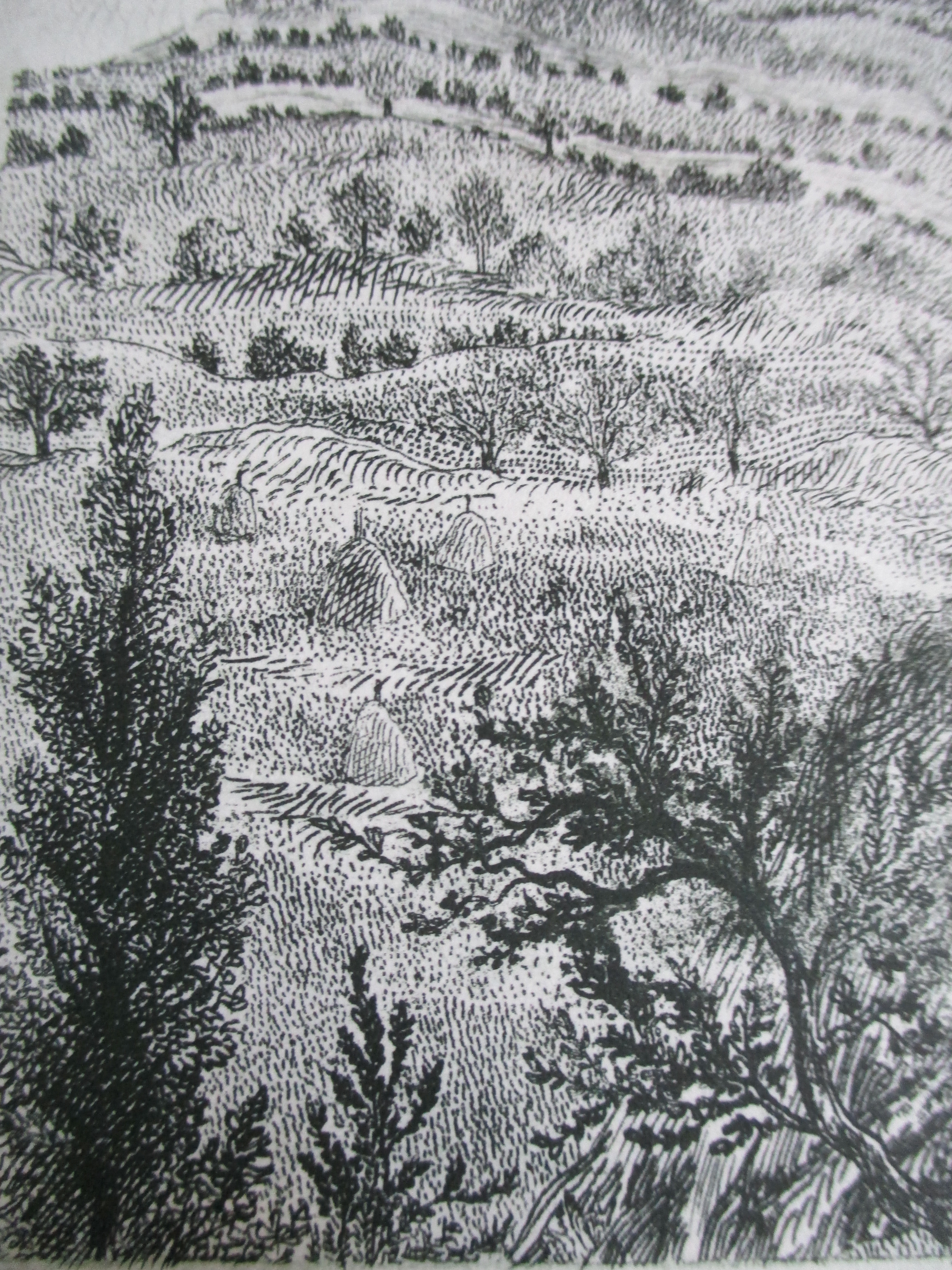 Arnold Gross - Ets landschap kopen? Bied vanaf 40!