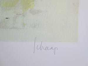 Nicole Schaap - coucher du soleil kopen? Bied vanaf 45!