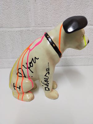 Hannes D'Haese - Dog/hond kopen? Bied vanaf 100!