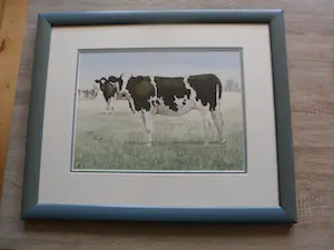 Wiebe A. van der Zee - Aquarel, Twee koeien op het land kopen? Bied vanaf 80!
