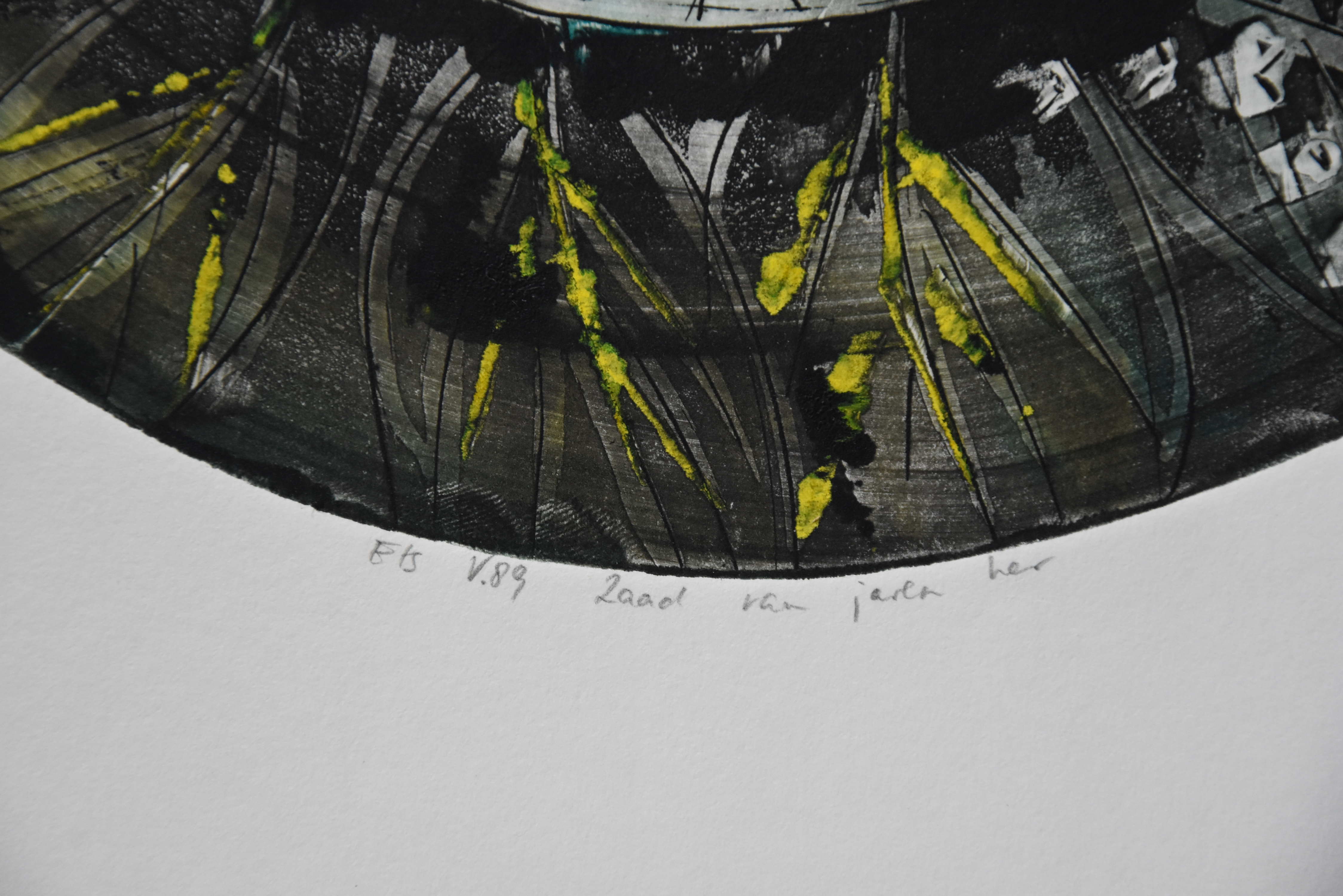 Bert Vredegoor - ets # ZAAD VAN JAREN HER # handingekleurd / unicum , 1989, mint kopen? Bied vanaf 35!