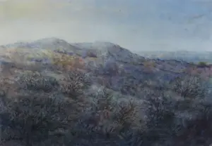 Jan van der Veer - Aquarel op papier, Waterleidingduinen I - Ingelijst kopen? Bied vanaf 40!