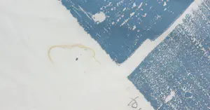 Jef Diederen - Houtsnede op Japans papier, Zonder titel kopen? Bied vanaf 1!