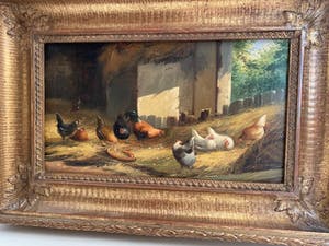 Jef Van Leemputten - Kippen in de staal kopen? Bied vanaf 400!