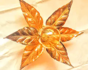 Willy Daro - Wandlampe Messing vergoldet Blumenform für Massive 1970er Jahre kopen? Bied vanaf 120!