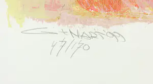 Gerard 't Hart - Zeefdruk, Shamaan - Ingelijst kopen? Bied vanaf 35!