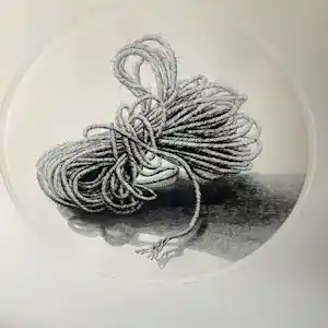 Gerard van Rooy - Kluwen verkocht voor € 35!