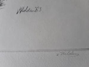 Jan van Helden - Trefpunt kopen? Bied vanaf 15!