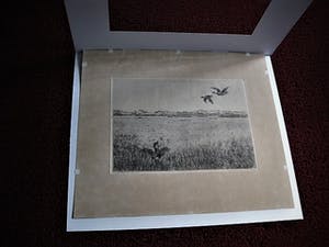 Martin van Waning - Mooie grote Droge Naald Ets - Vliegende eenden Schiermonnikoog - gesigneerd kopen? Bied vanaf 29!