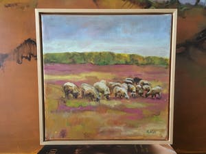 Niet of onleesbaar gesigneerd - Drentsche schapen op de heide kopen? Bied vanaf 1!