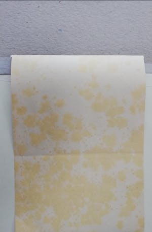 Johan Dijkstra - Roulette kopen? Bied vanaf 1!