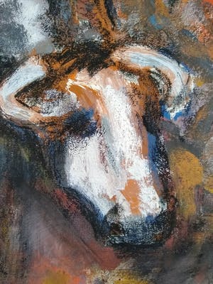 Jelle Hoogstra - koe met boer kopen? Bied vanaf 1!