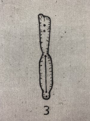 Reinier Lucassen - grote ets - 'Idol 3' - 1988 (Kleine oplage) kopen? Bied vanaf 140!