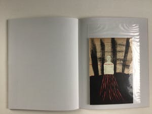 Dianne Bakker - Linosnede 'De dood' 2012 - Plus boek Biblioteca (Luxe ed.) 2014 kopen? Bied vanaf 225!