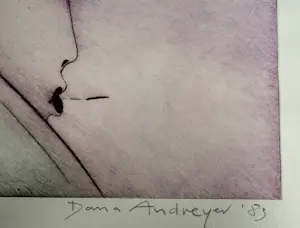 Dana Andreev - handgesigneerde kleurenets | 'Stranger' | 1983 (ZEER KLEINE OPLAGE) kaufen? Bieten Sie von 100!