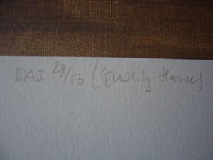 Rob Houdijk - Offset-litho, Titel, "Uitvoering N.P.O". kopen? Bied vanaf 25!