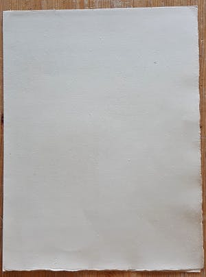 Jan Giesen - KEESJE kopen? Bied vanaf 50!