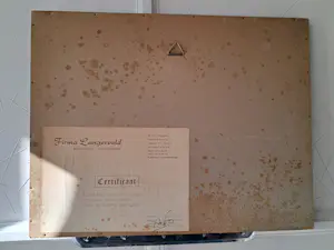 William John Cooke - rotterdam; oude hoofd poort anno 1860 kopen? Bied vanaf 50!