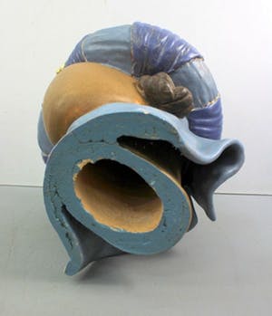 Niet of onleesbaar gesigneerd - "Vrouw met tulband" kopen? Bied vanaf 10!