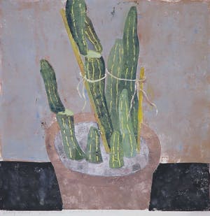 Betty Scheer - Linosnede, Grote cactus kopen? Bied vanaf 35!