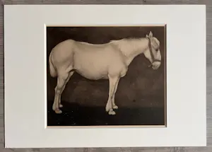 Jan Mankes - Originele Heliogravure Wit Paard 1923 kopen? Bied vanaf 165!
