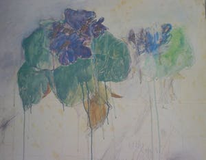Bruno Bruni - FIORE (Kleurenlitho - handgesigneerd) ! Nu laatste keer: vanaf €1 !! kopen? Bied vanaf 1!