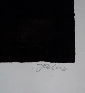 Hans Peters - litho: la fin du jour kopen? Bied vanaf 49!