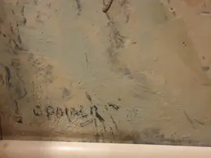 Gerrit Polder - Kruipende struik kopen? Bied vanaf 65!