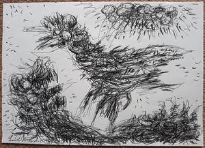 Erik Ortvad - Vogel, inkttekening kopen? Bied vanaf 125!