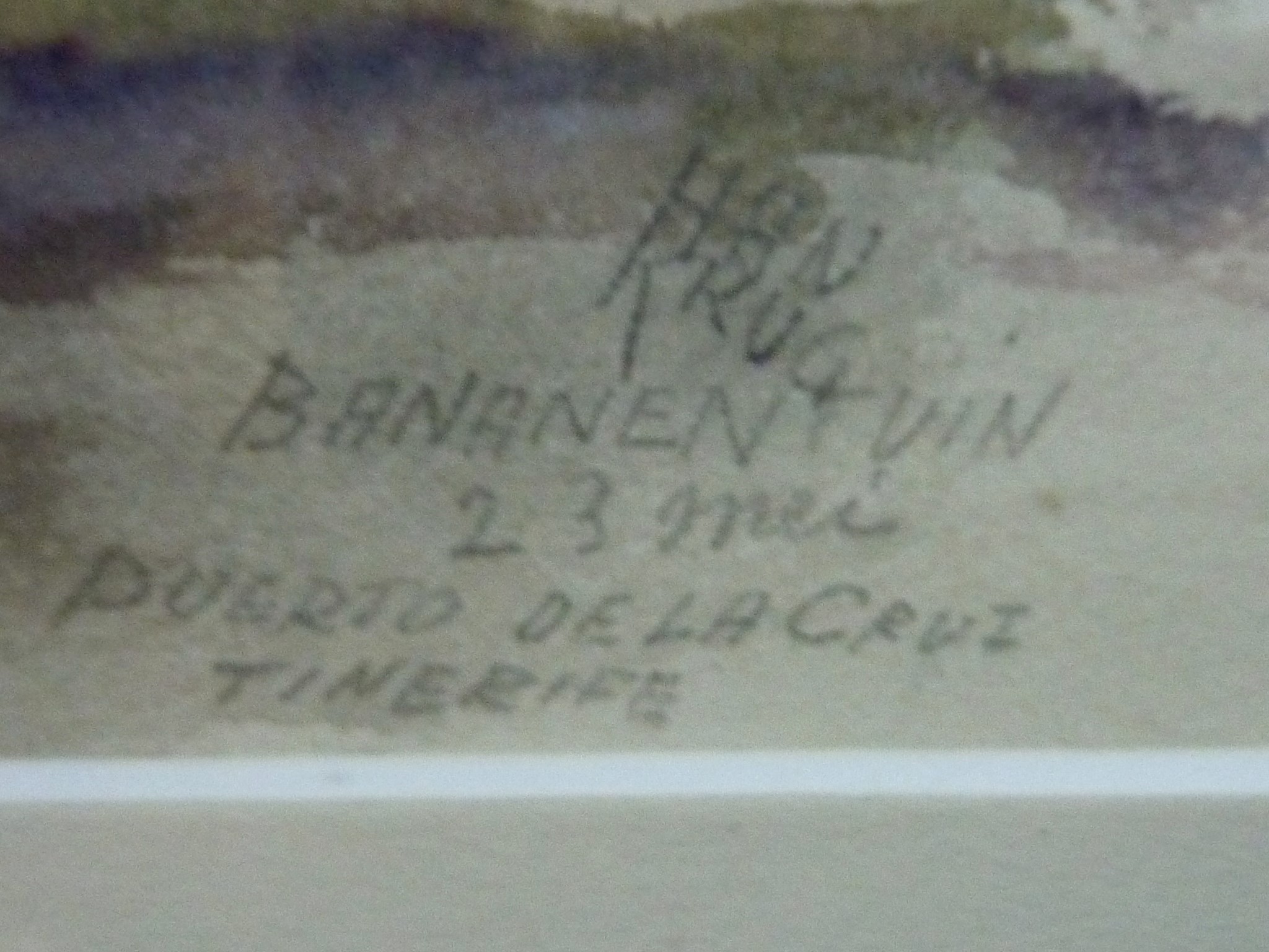 Han Krug - Aquarel " Bananentuin Puerto de la Cruz Tenerife" 1963 kopen? Bied vanaf 50!