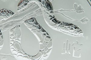 2434 -Massief 0.999 zilveren Australia 10$ "Year of the Snake" Munt - 2013 kopen? Bied vanaf 129!