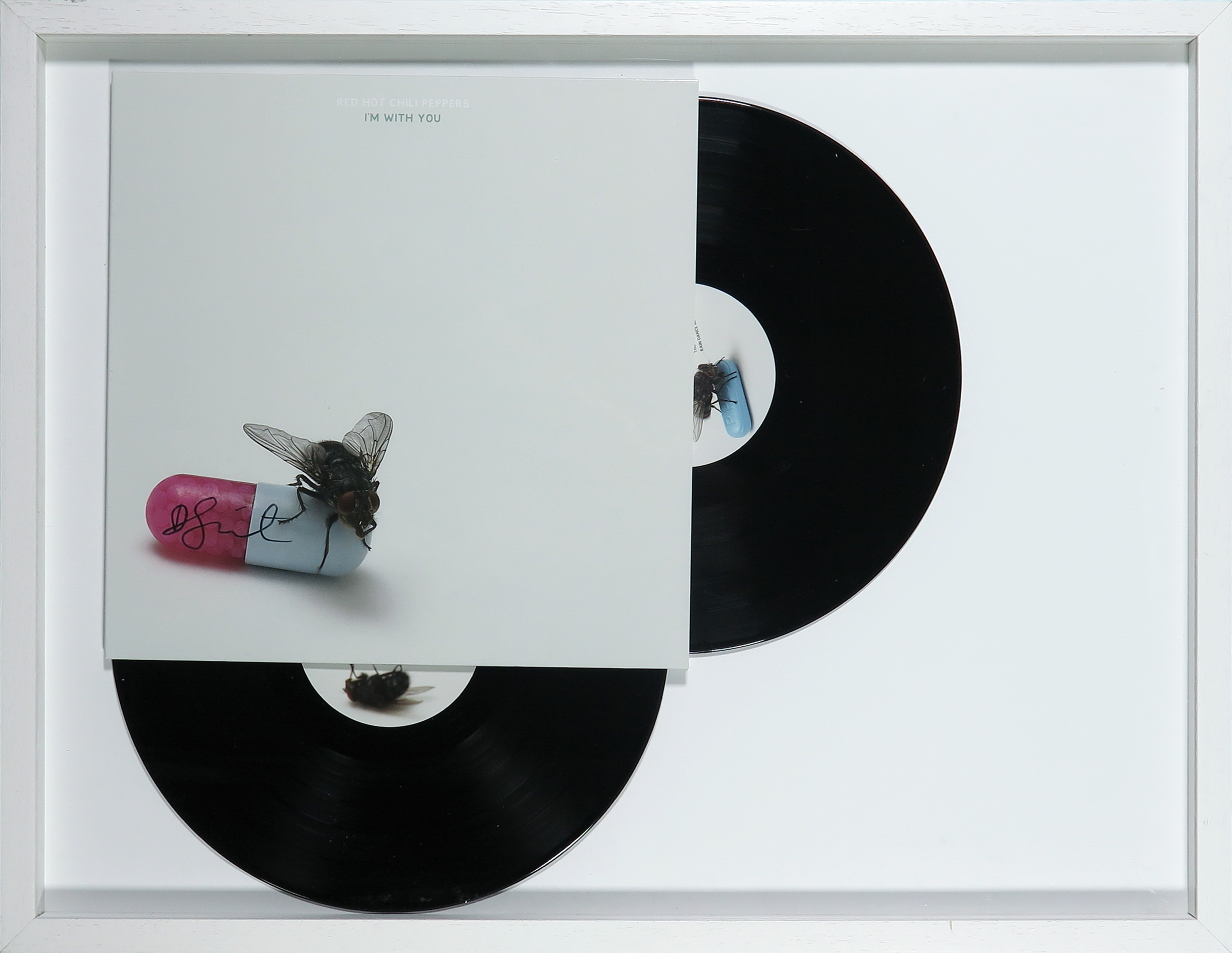 Damien Hirst - Gesigneerde LP-hoes, Red Hot Chili Peppers album: I'm with you - Ingelijst kopen? Bied vanaf 1!
