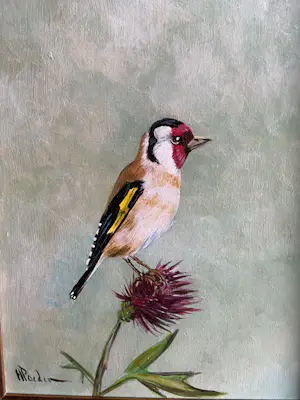 Henk Poeder - Vogel kopen? Bied vanaf 89!