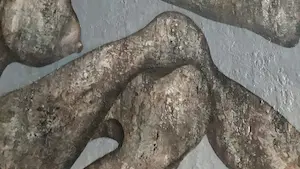 Sjef van Schaijk - No XIII - Dertien kopen? Bied vanaf 550!