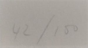 Ansuya Blom - Must remain still kopen? Bied vanaf 65!