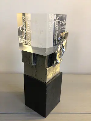 Ad Haring - Sculptuur / Afstudeer plaat Erasmus Universiteit . kopen? Bied vanaf 89!