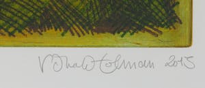 Ronald Tolman - Kleurenets, Eenzame violist - Ingelijst kopen? Bied vanaf 100!