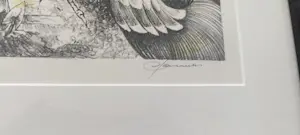 Hedwig Pauwels - Hommage aan Theo van Hoytema (1863-1917) kopen? Bied vanaf 50!