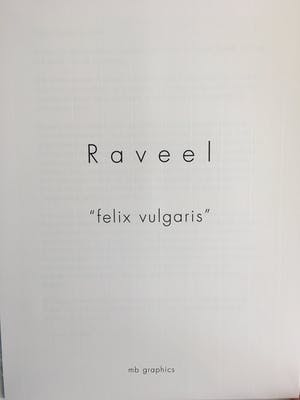 Roger Raveel - zeefdruk ‘Felix Vulgaris’ - 2010 - oplage 100 kopen? Bied vanaf 575!